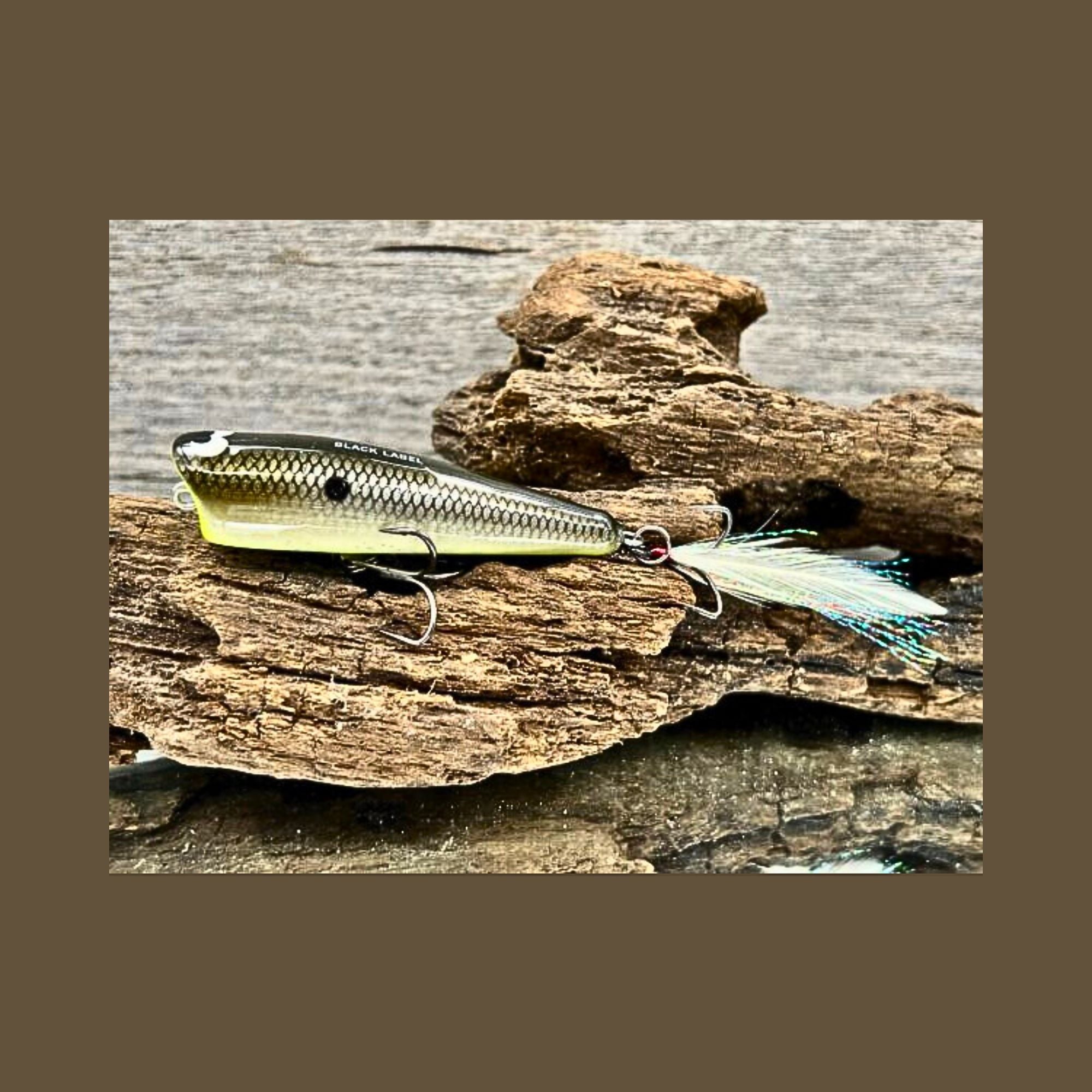 Pop-N-Bob lures by Black Label Tackle | Finesse Popper | Fishing