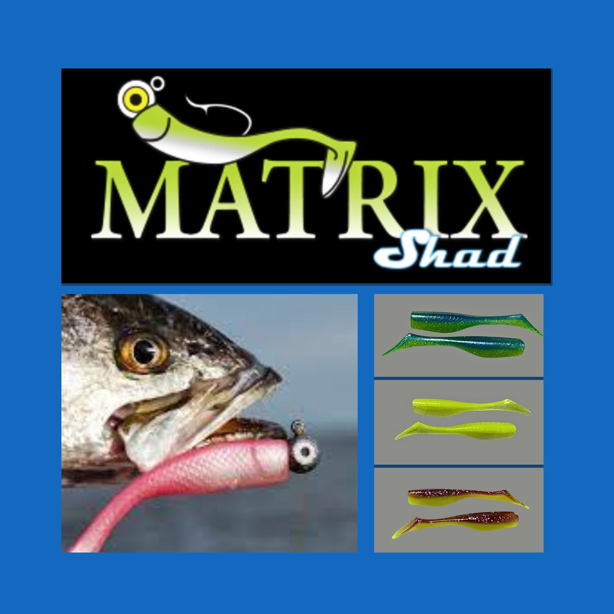 Matrix X-Shad Fishing Lure  Swampland Tackle & Custom Rods, LLC