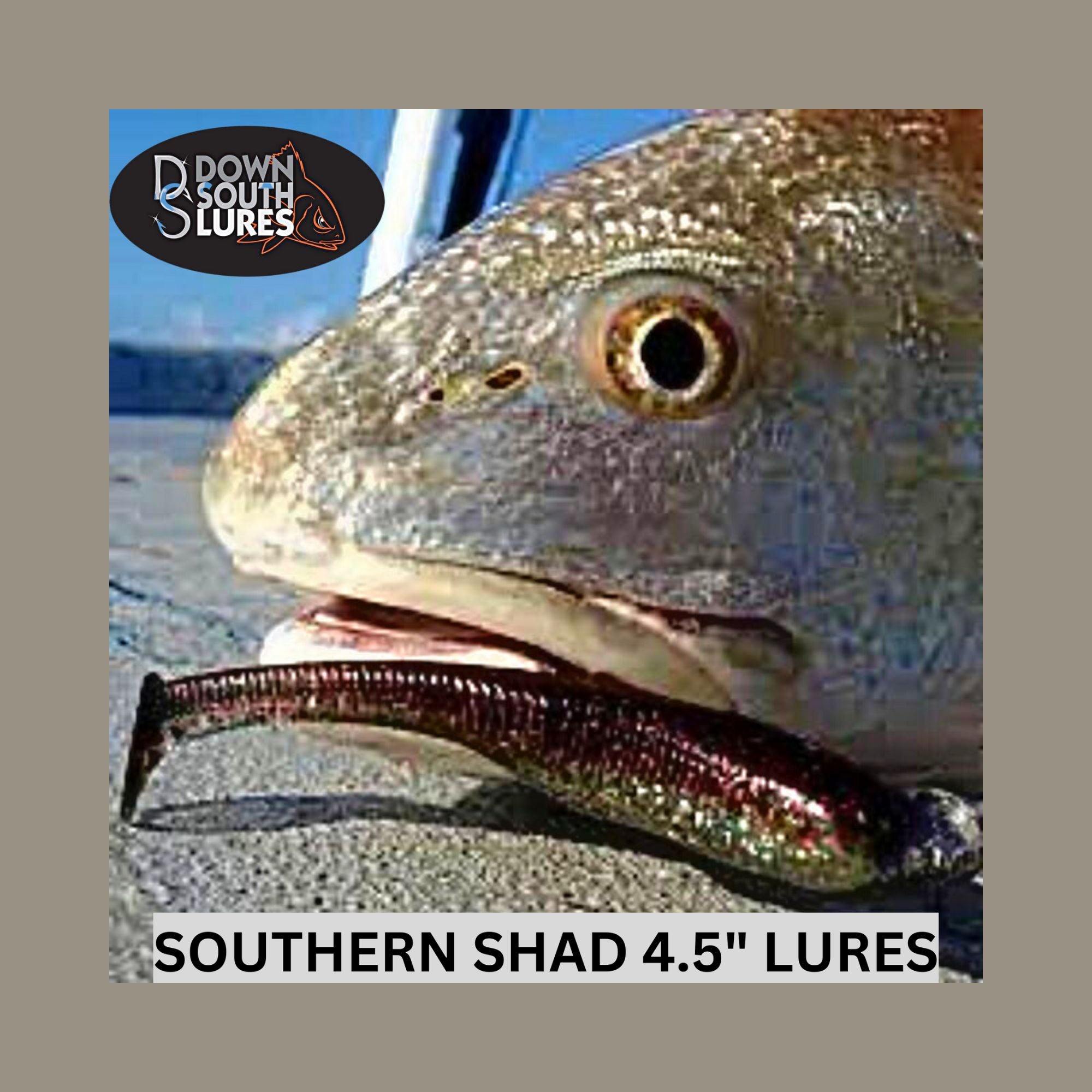 Southern Shad 4.5, Down South Lures, Baits, Tackle