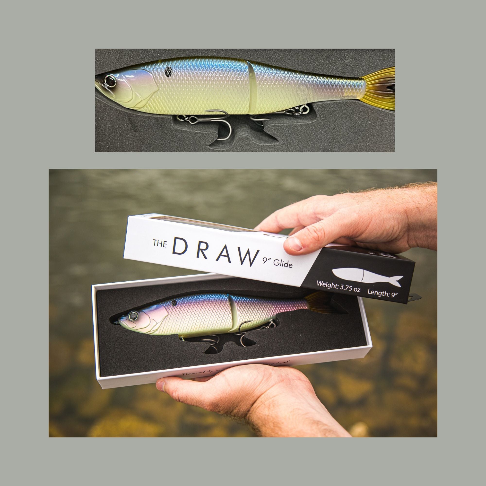 The Draw, 9 Glide Bait, 6th Sense, Ben Milliken, Fishing Store