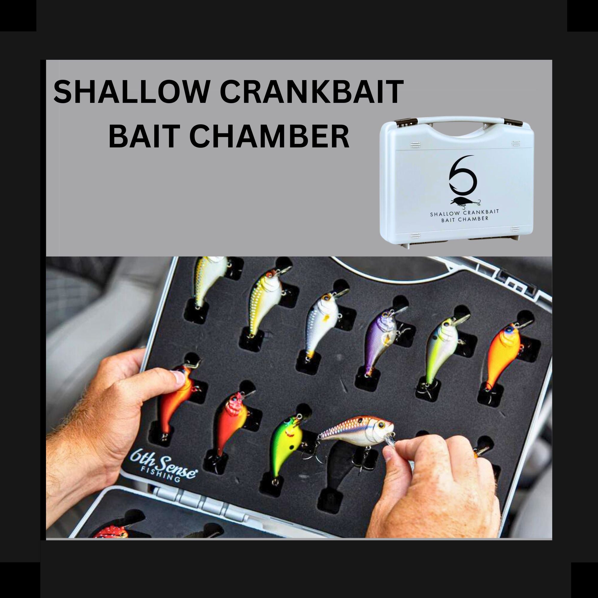 Bait Chamber, Trace, Draw, Shallow, 6th Sense Fishing, Tackle