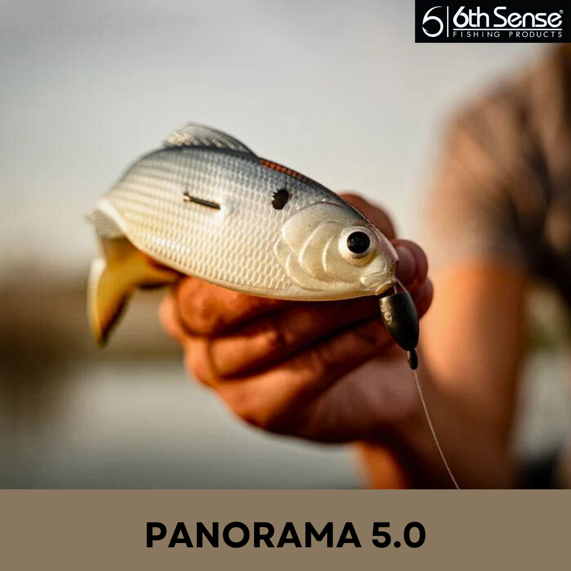 Panorama 5.0, Soft Plastic Lure, 6th Sense Fishing
